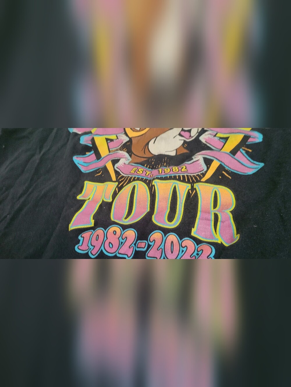 Buc-ee's T-shirt Size LARGE, 1982-2022 BEAVER BELIEVER TOUR - Picture 6 of 7